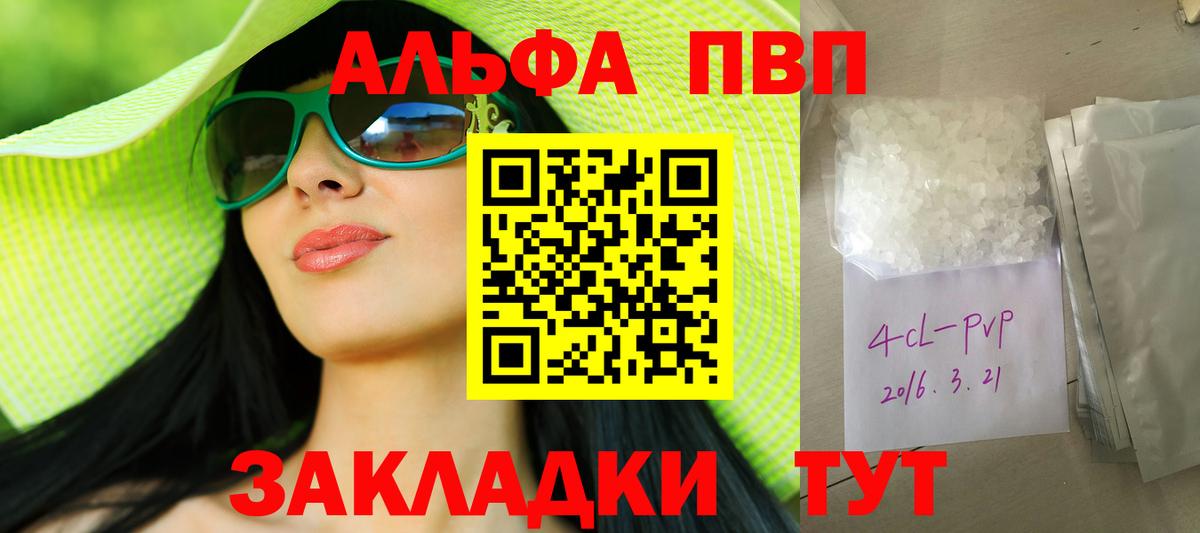 Alfa_PVP СК КРИС Курчалой
