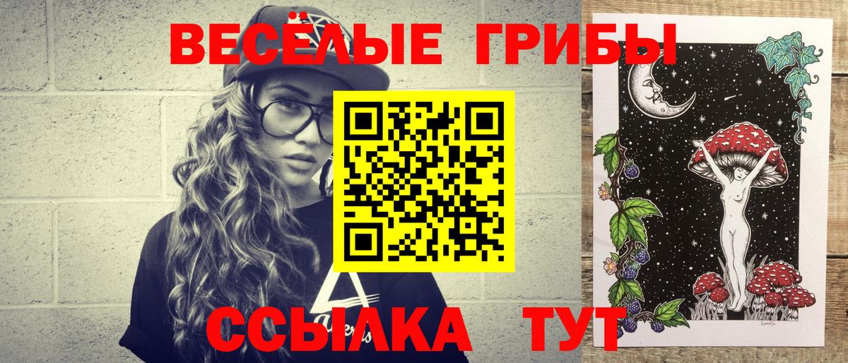Курчалой  цена   Вход с VPN  Галлюциногенные грибы Psilocybine cubensis 