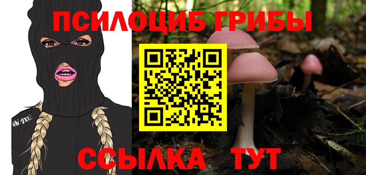 Галлюциногенные грибы мухоморы Курчалой